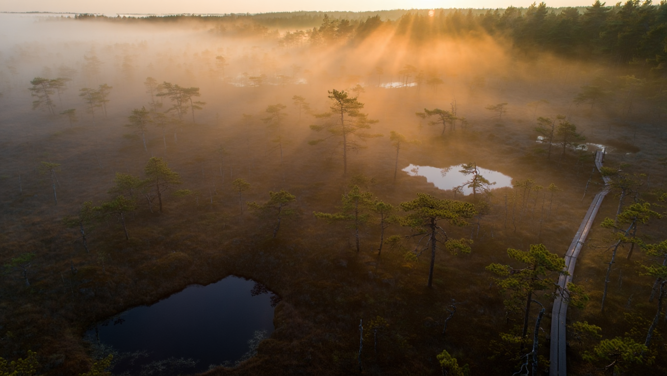 Loodusmarsruut rabamaastikul